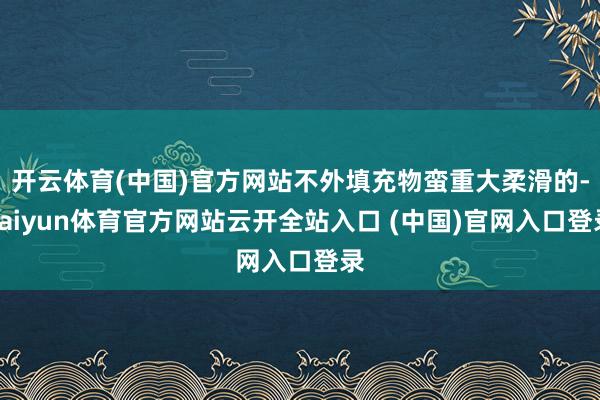 开云体育(中国)官方网站不外填充物蛮重大柔滑的-kaiyun体育官方网站云开全站入口 (中国)官网入口登录