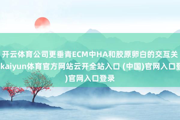 开云体育公司更垂青ECM中HA和胶原卵白的交互关联-kaiyun体育官方网站云开全站入口 (中国)官网入口登录