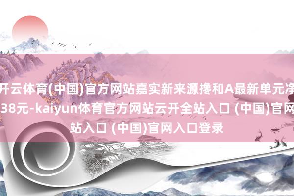 开云体育(中国)官方网站嘉实新来源搀和A最新单元净值为1.2238元-kaiyun体育官方网站云开全站入口 (中国)官网入口登录