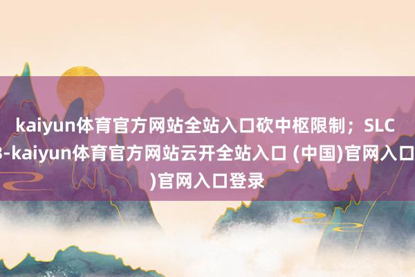 kaiyun体育官方网站全站入口砍中枢限制；SLC 6MB-kaiyun体育官方网站云开全站入口 (中国)官网入口登录
