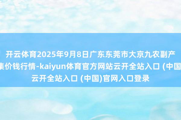 开云体育2025年9月8日广东东莞市大京九农副产物中心批发市集价钱行情-kaiyun体育官方网站云开全站入口 (中国)官网入口登录