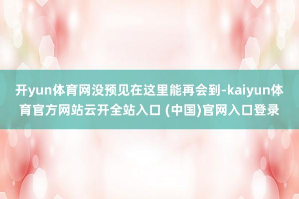 开yun体育网没预见在这里能再会到-kaiyun体育官方网站云开全站入口 (中国)官网入口登录
