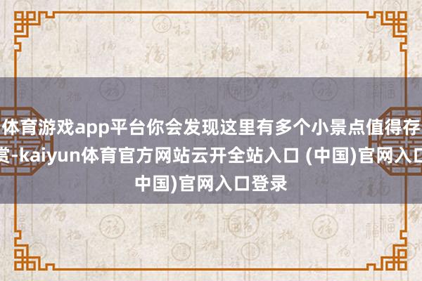 体育游戏app平台你会发现这里有多个小景点值得存身观赏-kaiyun体育官方网站云开全站入口 (中国)官网入口登录