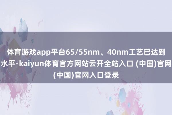 体育游戏app平台65/55nm、40nm工艺已达到业界主活水平-kaiyun体育官方网站云开全站入口 (中国)官网入口登录