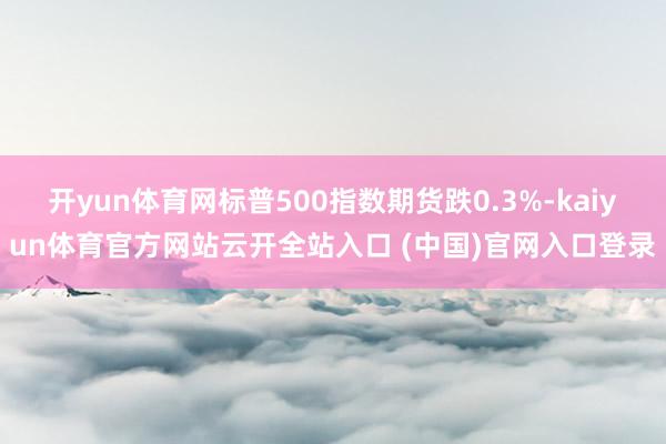 开yun体育网标普500指数期货跌0.3%-kaiyun体育官方网站云开全站入口 (中国)官网入口登录